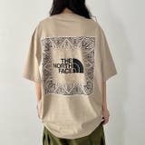 THE NORTH FACE(ザ | Outfitter lab | 詳細画像24 