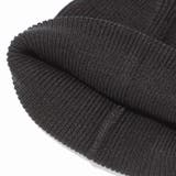 THE NORTH FACE / BIG LOGO BEANIE | Outfitter lab | 詳細画像4 