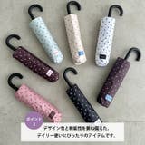 7色展開【晴雨兼用】ドット折り畳み傘 | Outfitter lab | 詳細画像4