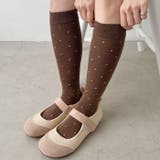 ドットハイソックス | Outfitter lab | 詳細画像24 