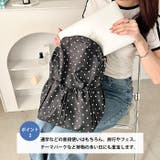 軽量ドットナイロンバックパック リュック | Outfitter lab | 詳細画像3