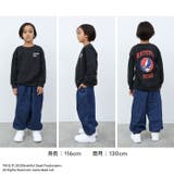 GRATEFULDEAD 裏起毛トレーナー グレイトフルデッド | NEXT WALL | 詳細画像11