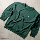 POLOCHAMPS ポロチャンプス ミニ裏毛トレーナー | NEXT WALL | 詳細画像12 