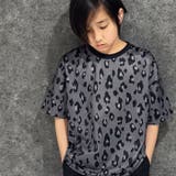 DRYメッシュ BIG T | NEXT WALL | 詳細画像2