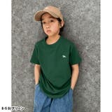 POLOCHAMPS ポロチャンプスTシャツ キッズ | NEXT WALL | 詳細画像6