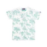 3-1ホワイト/グリーンPT | キッズ 子供服 Tシャツ | NEXT WALL