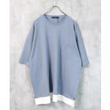 20-15S/ブルー/BIG | メンズ Tシャツ 半袖 | NEXT WALL