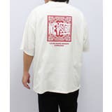 16-9オフホワイト1/C | メンズ Tシャツ 半袖 | NEXT WALL
