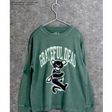 8-5D/グリーン/B | GRATEFULDEAD グレイトフルデッド ピグメント | NEXT WALL