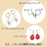 ピアス福袋 イヤリング福袋 サージカルステンレスフック | YUKATANゆかたん | 詳細画像11