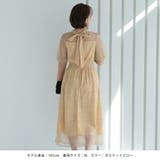 バルーンロングスリーブ総レースドレス シャーリング チュール | AUNI | 詳細画像3 