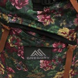 グレゴリー GREGORY リュック | AXES | 詳細画像8