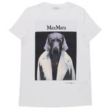マックスマーラ Tシャツ カットソー | AXES | 詳細画像5