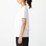 マックスマーラ Tシャツ カットソー | AXES | 詳細画像3 