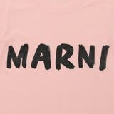 マルニ Tシャツ カットソー | AXES | 詳細画像6
