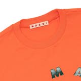 マルニ Tシャツ カットソー | AXES | 詳細画像3