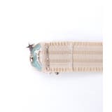 スターライトモチーフベルト | axes femme | 詳細画像10