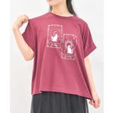 ワイン | 接触冷感天体柄プリントＴ | axes femme