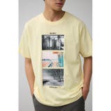 L/YEL1 | サマーフォトT | AZUL BY MOUSSY