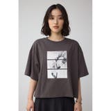フラワーフォトTシャツ | AZUL BY MOUSSY | 詳細画像25 