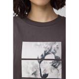 フラワーフォトTシャツ | AZUL BY MOUSSY | 詳細画像28 