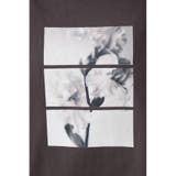 フラワーフォトTシャツ | AZUL BY MOUSSY | 詳細画像31 