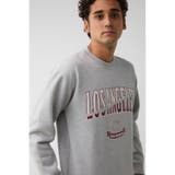 Abel&Co USA ヴィンテージスウェット | AZUL BY MOUSSY | 詳細画像37 