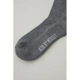 1ポイント刺繍ロングソックス | AZUL BY MOUSSY | 詳細画像11 