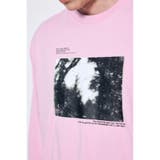 FOREST グラフィック長袖Tシャツ | AZUL BY MOUSSY | 詳細画像30