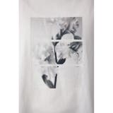 フラワーフォトTシャツ | AZUL BY MOUSSY | 詳細画像11 