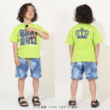 親子お揃い サングラスワッペンロゴTシャツ 9523K | BABYDOLL | 詳細画像2 