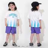 【接触冷感】ラインTシャツ 0612K | BABYDOLL | 詳細画像2