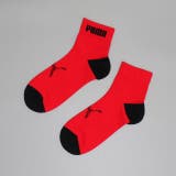WEB限定 PUMA クルーソックス 3足セット 1091 | BABYDOLL | 詳細画像2