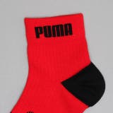 WEB限定 PUMA クルーソックス 3足セット 1091 | BABYDOLL | 詳細画像6