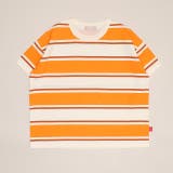 ボーダーオレンジ | WEB限定 総柄Tシャツ 1355K | BABYDOLL