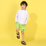 ラッシュガード 1396K | BABYDOLL | 詳細画像5 