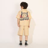 ジュラシック・ワールド サファリシャツ 1495K( ボトムス別売) | BABYDOLL | 詳細画像3