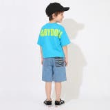 ゼブラハーフパンツ 1632K | BABYDOLL | 詳細画像3 