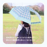 ジュニア耐風傘 透明窓付き 55cm | BACKYARD FAMILY | 詳細画像3