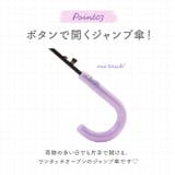 ジュニア耐風傘 透明窓付き 55cm | BACKYARD FAMILY | 詳細画像8