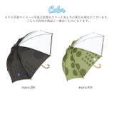392plusm キッズ傘 45cm 50cm | BACKYARD FAMILY | 詳細画像12 