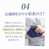 Peacock アイスパック ABC-50 | BACKYARD FAMILY | 詳細画像9 