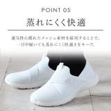 Arnie Arnold Palmer | BACKYARD FAMILY | 詳細画像10