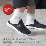 Arnie Arnold Palmer | BACKYARD FAMILY | 詳細画像3