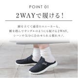 Arnie Arnold Palmer | BACKYARD FAMILY | 詳細画像6