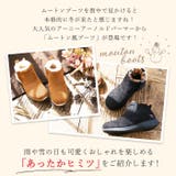 Arnie Arnold Palmer | BACKYARD FAMILY | 詳細画像2