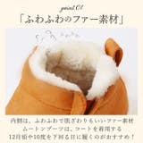 Arnie Arnold Palmer | BACKYARD FAMILY | 詳細画像8
