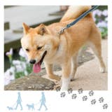 anjp003 ペット用リード | BACKYARD FAMILY | 詳細画像8 