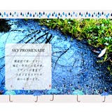 傘 メンズ PROMENADE | BACKYARD FAMILY | 詳細画像2