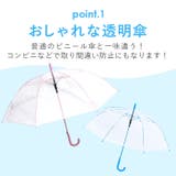ATTAIN 65cmPOE カラーグラス骨/中棒 | BACKYARD FAMILY | 詳細画像2